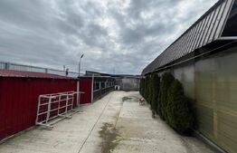 Teren intravilan Ișalnița – oportunitate excelentă pentru afacere sau investiție