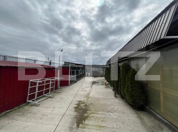 Teren de vânzare Isalnita - 191808TV | BLITZ Craiova | Poza6