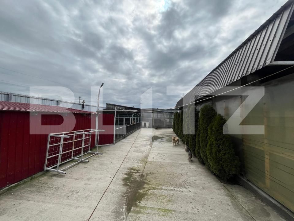 Teren de vânzare Isalnita - 191808TV | BLITZ Craiova | Poza6