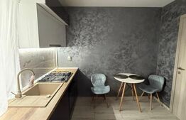 Garsoniera, 51 mp, zona Rovine