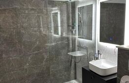 Garsoniera, 51 mp, zona Rovine