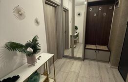 Garsoniera, 51 mp, zona Rovine