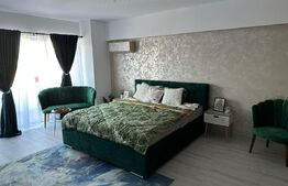 Garsoniera, 51 mp, zona Rovine