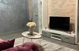 Apartament 2 camere decomandat,  zona Segarcea