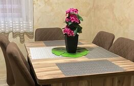 Apartament 2 camere decomandat,  zona Segarcea