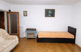 Garsoniera de vanzare, 40 mp, Brazda lui Novac, zona American Style 