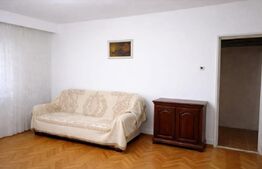 Garsoniera de vanzare, 40 mp, Brazda lui Novac, zona American Style 