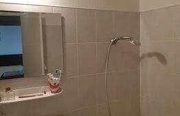 Garsoniera de vanzare, 40 mp, Brazda lui Novac, zona American Style 