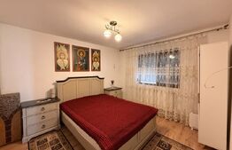 Casă individuală P + M 137 mp utili, 354 mp teren, zona Damila