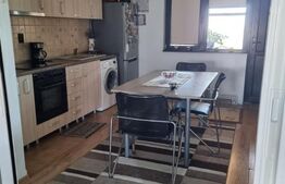 Casă individuală P + M 137 mp utili, 354 mp teren, zona Damila