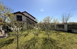 Casă individuală P + M 137 mp utili, 354 mp teren, zona Damila