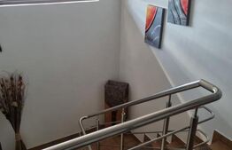 Casă individuală P + M 137 mp utili, 354 mp teren, zona Damila