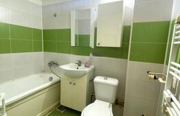 Apartament 2 camere decomantat, 50 mp, Bld Carol, zona Garii