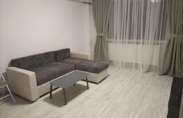 Apartament 2 camere decomantat, 50 mp, Bld Carol, zona Garii