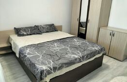 Apartament 2 camere decomantat, 50 mp, Bld Carol, zona Garii