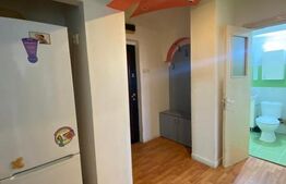 Apartament 2 camere decomantat, 50 mp, Bld Carol, zona Garii