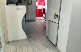 Apartament 2 camere decomantat, 50 mp, Bld Carol, zona Garii