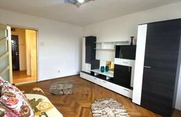 Apartament 2 camere decomantat, 50 mp, Bld Carol, zona Garii