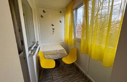 Garsoniera de inchiriat, 33 mp, zona Brazda lui Novac