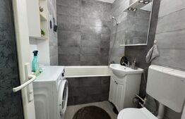 Garsoniera de inchiriat, 33 mp, zona Brazda lui Novac