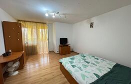 Garsoniera de inchiriat, 33 mp, zona Brazda lui Novac