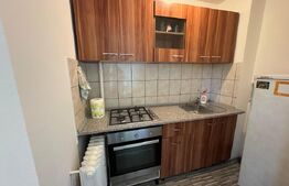 Garsoniera de inchiriat, 33 mp, zona Brazda lui Novac