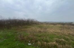 Teren intravilan, 4650mp, stradal DE, Sere Isalnita