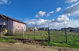 Teren  intravilan, Simnicul de Sus, Romanesti, 1000(1500) mp, parcelabil