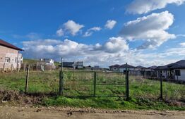 Teren  intravilan, Simnicul de Sus, Romanesti, 1000(1500) mp, parcelabil