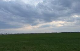 Teren extravilan comuna Pielesti
