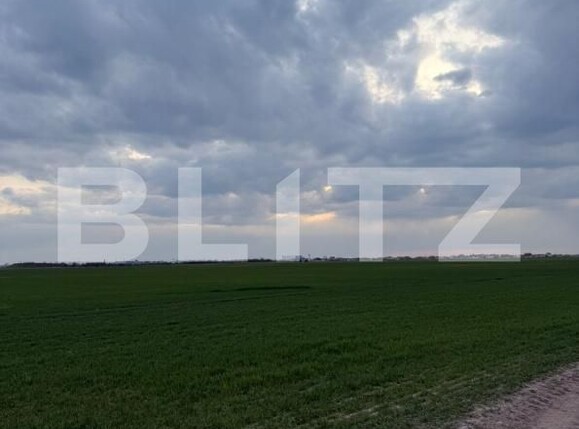 Teren de vânzare Pielești - 192300TV | BLITZ Craiova | Poza2