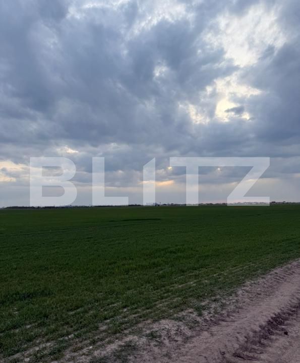 Teren de vânzare Pielești - 192300TV | BLITZ Craiova | Poza2