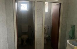 Casa, 192 mp, teren 1021 mp, Breasta