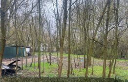 Casa, 192 mp, teren 1021 mp, Breasta