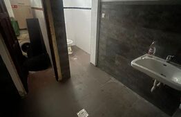 Casa, 192 mp, teren 1021 mp, Breasta