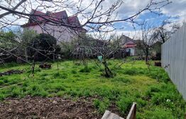 Casa modesta, 651 mp teren, zona Romanesti
