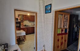 Casa modesta, 651 mp teren, zona Romanesti