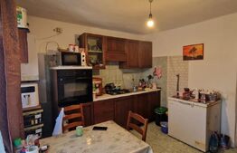 Casa modesta, 651 mp teren, zona Romanesti