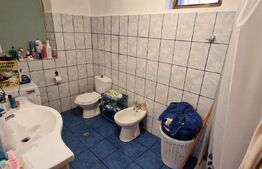Casa modesta, 651 mp teren, zona Romanesti