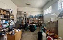 Spațiu comercial parter 264 mp, vad format, parcare proprie, N. Titulescu