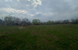 Teren intravilan industrial, Centura de Nord, 2.1 ha, deschidere 41m