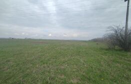 Teren intravilan industrial, Centura de Nord, 2.1 ha, deschidere 41m