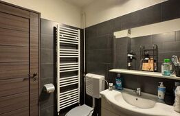 Apartament 3 camere decomandat, 2 bai, 75 mp total - Brazda lui Novac