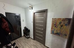 Apartament 3 camere decomandat, 2 bai, 75 mp total - Brazda lui Novac