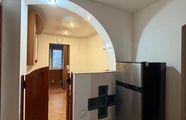 Apartament 3 camere decomandate , 58, 20 mpu, Lapus Arges