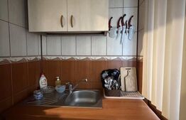 Apartament 3 camere decomandate , 58, 20 mpu, Lapus Arges