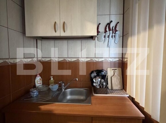 Apartament de vânzare 3 camere Lapus Arges - 192425AV | BLITZ Craiova | Poza12