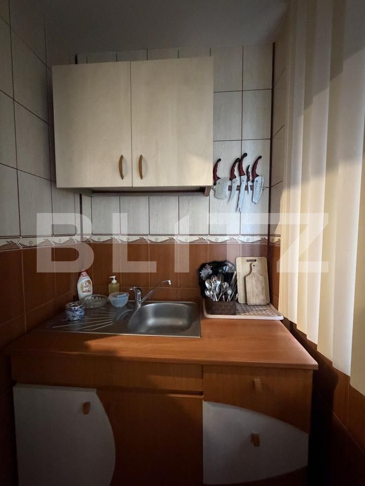 Apartament de vânzare 3 camere Lapus Arges - 192425AV | BLITZ Craiova | Poza12