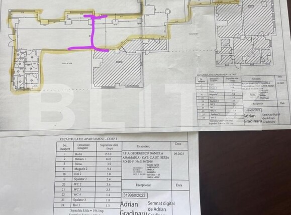 Spațiu comercial de închiriat Calea Bucuresti - 192516SIC | BLITZ Craiova | Poza3