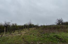 Teren intravilan 2000 mp, front 16,7 ml, vizibilitate la DN, Carcea
